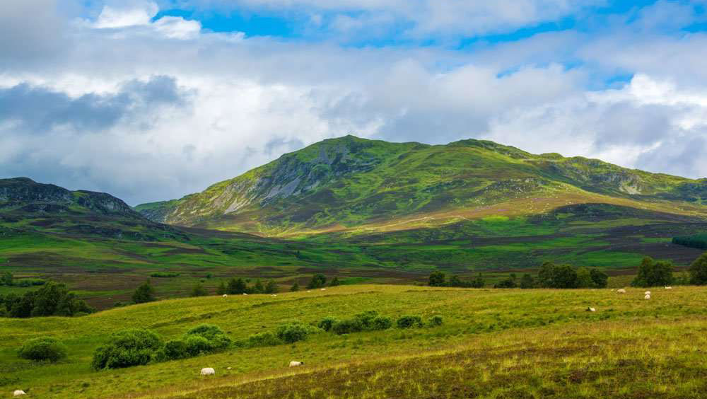 Ben Vrackie