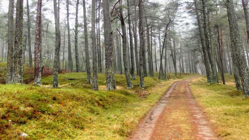 Glen Banvie Photo