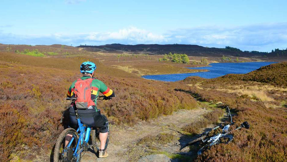 Ordie and Oisinneach Photo